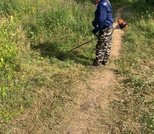 В Рузском округе окашивают территории