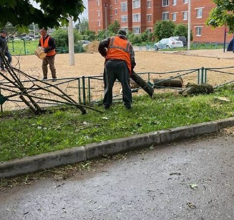 В Рузском округе кронируют деревья