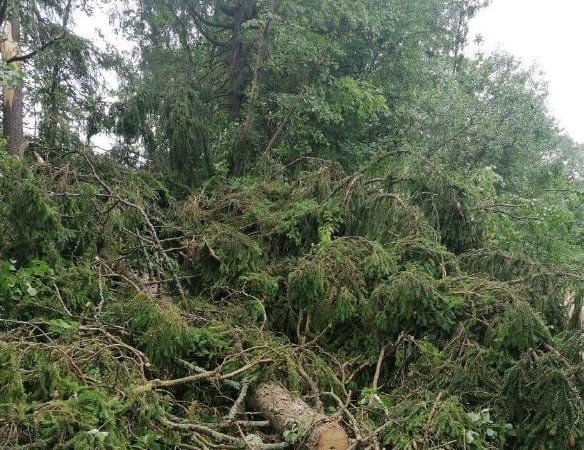 В Рузском округе убирали поваленные деревья