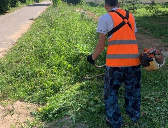 В Рузском округе косят газоны