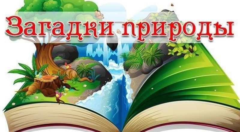 Игра «Ключ к загадкам природы» пройдет в Горбово