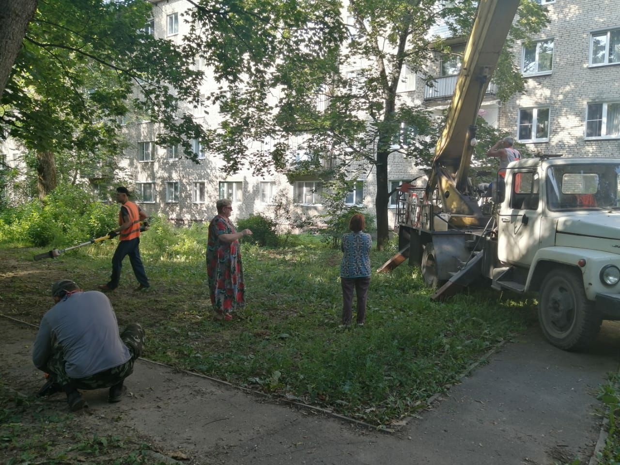 Возле жилых домов в Тучково провели опиловку деревьев | 09.08.2022 | Руза -  БезФормата