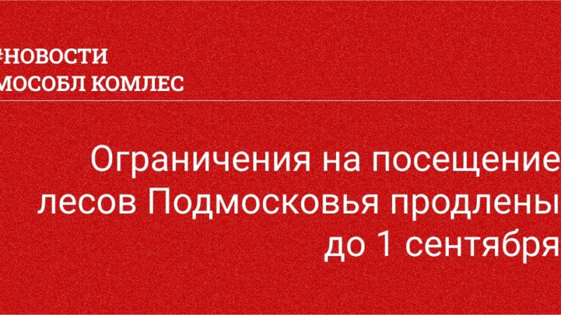 Ружанам – о продлении ограничений на посещение лесов