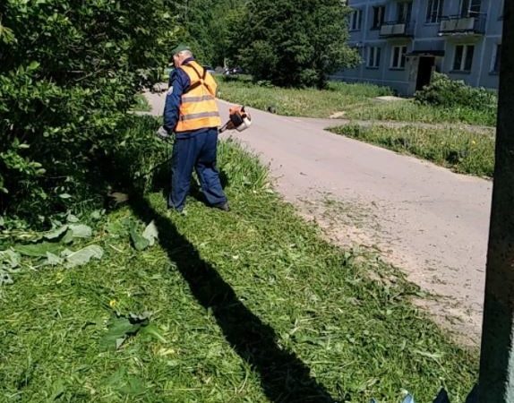 В Рузском округе окашивают общественные территории