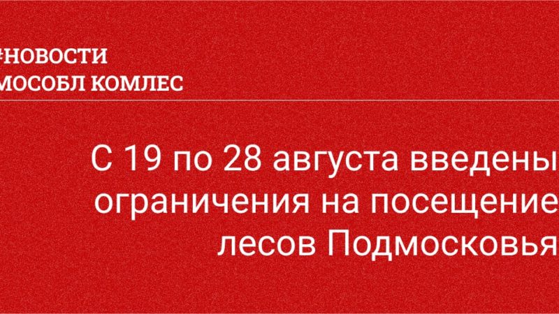Ружанам – об ограничении посещения лесов