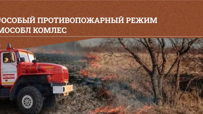 Ружан информируют об усилении мер безопасности в подмосковных лесах
