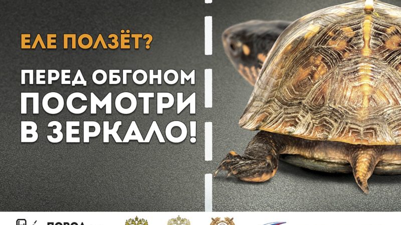 Ружанам – о мероприятии «Встречная полоса»