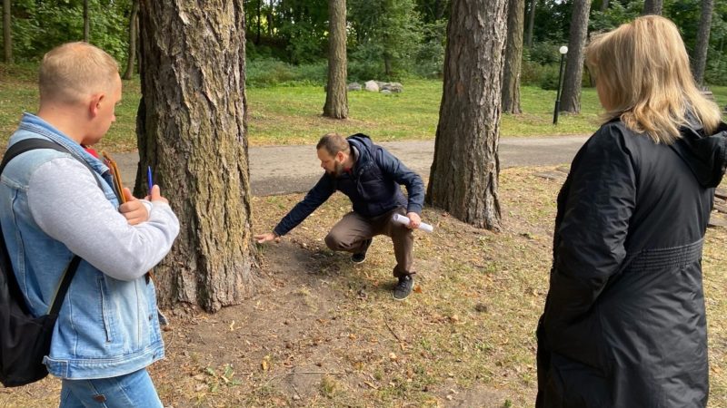 На Городке обследовали деревья