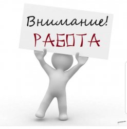 Жителям ДНР, ЛНР и Украины – о платформе «Работа в России»