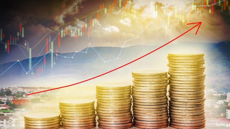 Председатель КСП выступила на заседании Совета депутатов
