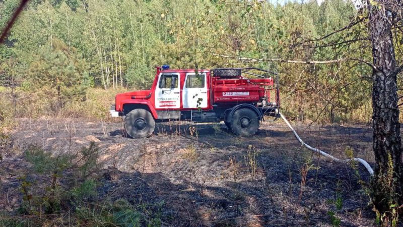 Ружан просят воздержаться от посещения леса