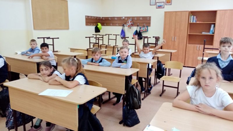 Рузская библиотека провела познавательный час