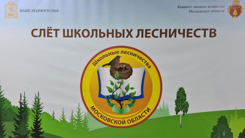 В Подмосковье соревнуются представители школьных лесничеств