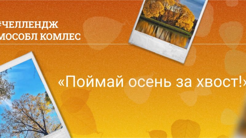 Ружан приглашают участвовать в челлендже «Поймай осень за хвост»