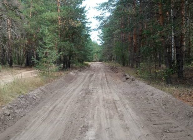 Более 200 км лесных дорог обустроено в подмосковных лесах