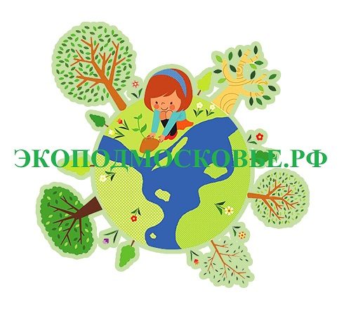 Молодежь Рузского округа приглашают к участию в конкурсе