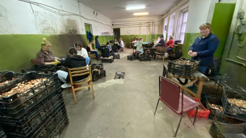 Лицеисты делают добрые дела