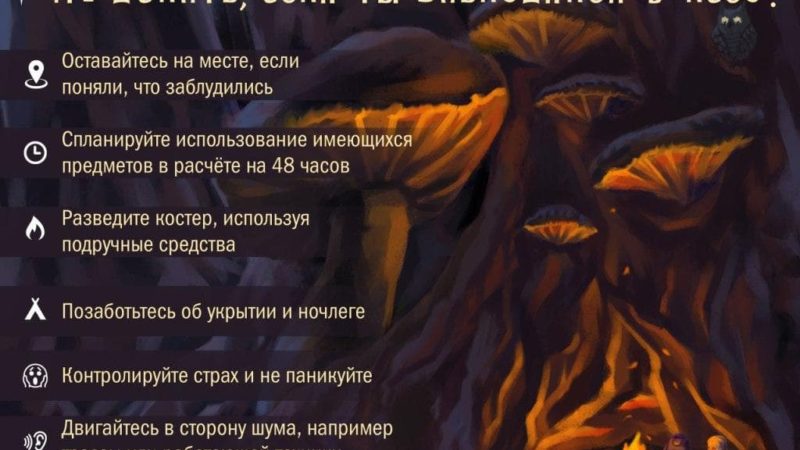 Ружанам напоминают о безопасности в лесу