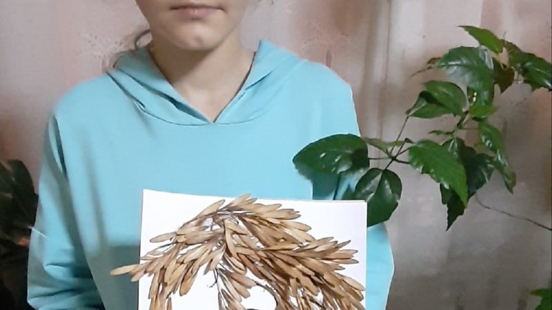 Барынинцы участвовали в мастер-классе