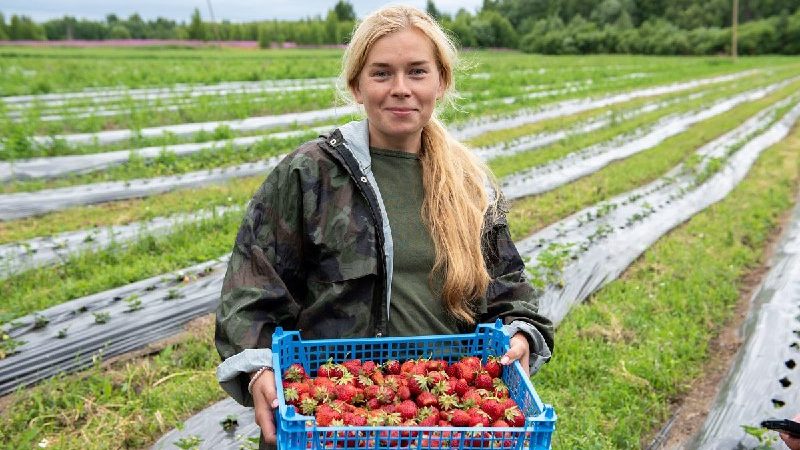 Ружанам – о Всероссийском конкурсе «Женщины в АПК»