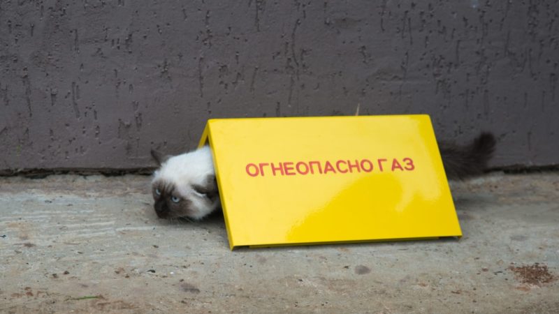 В Подмосковье продолжается «Социальная газификация»
