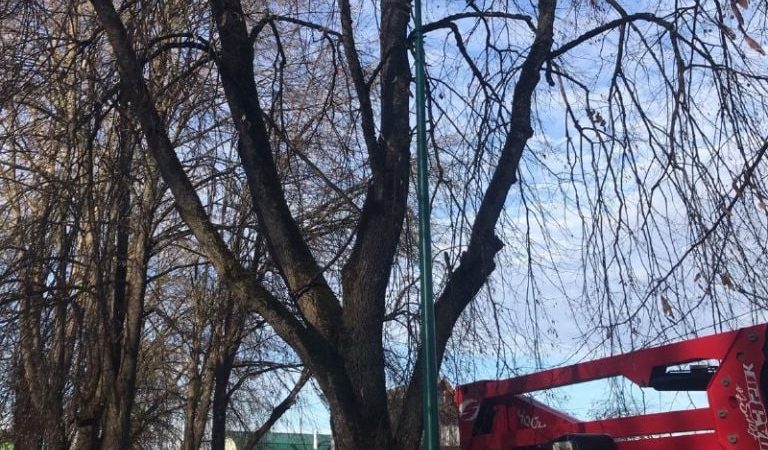 В Рузском округе становится светлее