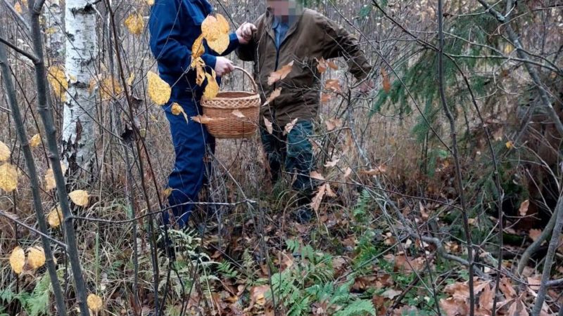 В Рузском округе грибника вывели леса