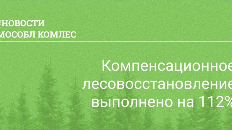 В Подмосковье восстанавливают леса