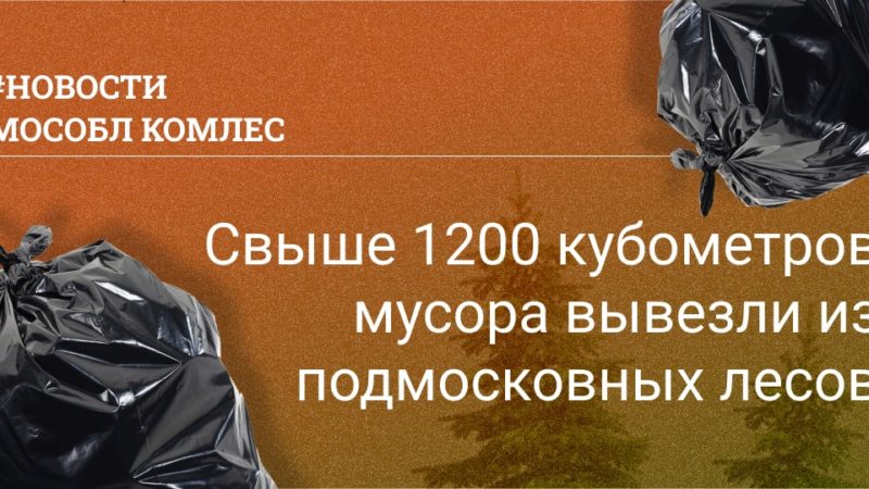 Свыше 1200 кубометров мусора вывезли из подмосковных лесов