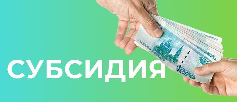 Управляющей компании «ДЛК» утверждена субсидия