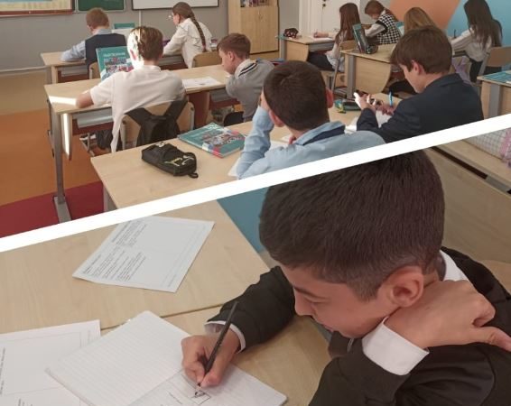 Тучковские школьники учатся работать с кейсами