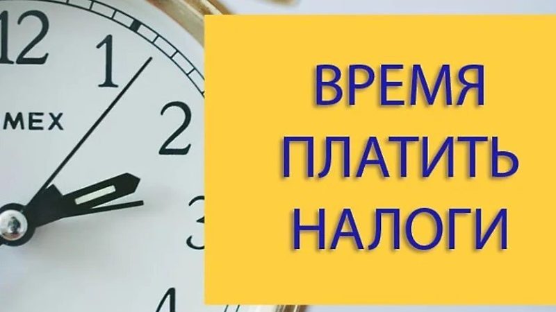 Ружанам напоминают об уплате налогов