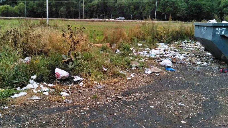 В Рузском округе ликвидируют навалы мусора