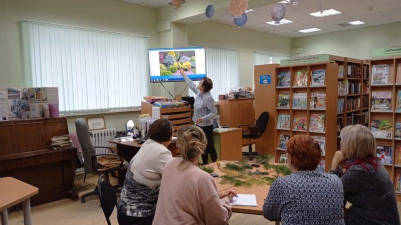Тучковцы – о хвойных деревьях