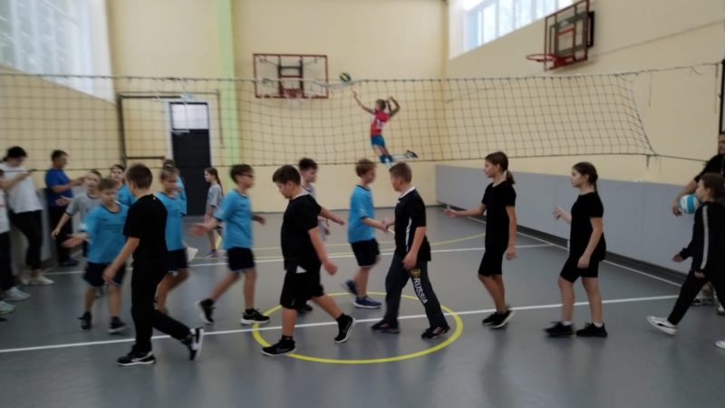 В Покровской школе соревновались пионерболисты