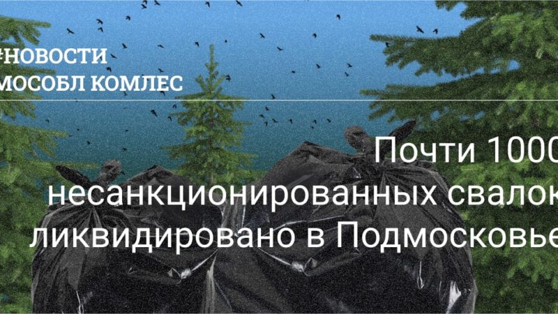 В Рузском округе оперативно ликвидируют несанкционированные свалки в лесах