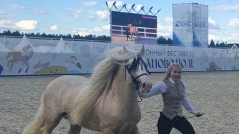 Пенсионеры Рузского округа посетят конноспортивный комплекс
