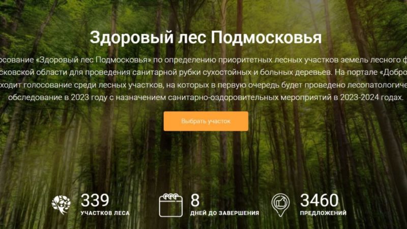 Ружане, голосуйте за чистый лес!