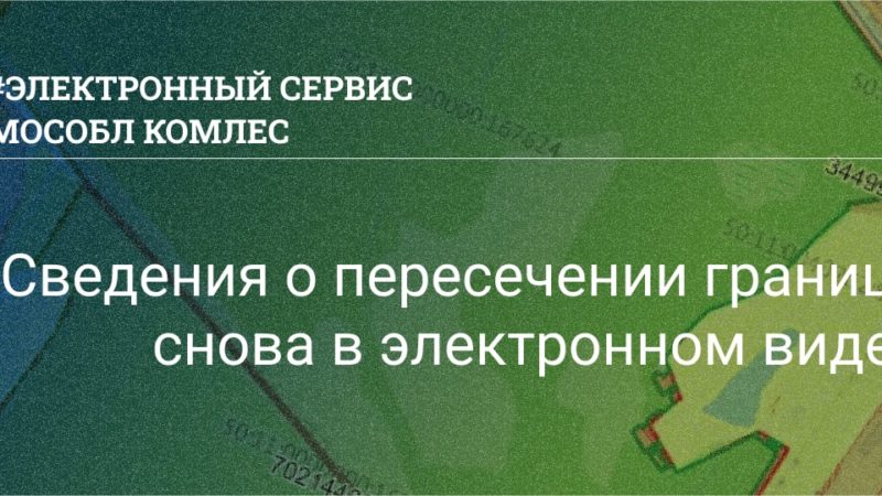 Ружанам – об электронном сервисе земель лесного фонда