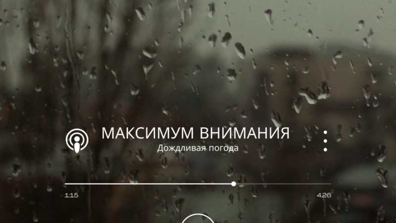 В Подмосковье установилась дождливая погода