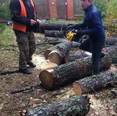 В Рузском округе убирают порубочные остатки