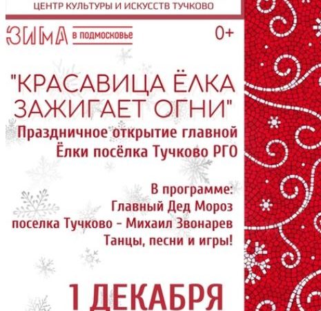 Тучковцев приглашают на новогоднее мероприятие