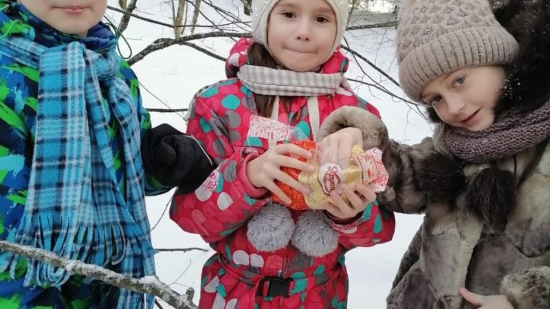 Сытьковские школьники помогают птицам