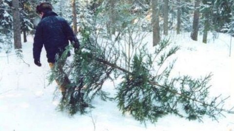Ружан информируют об усилении патрулирования в подмосковных лесах