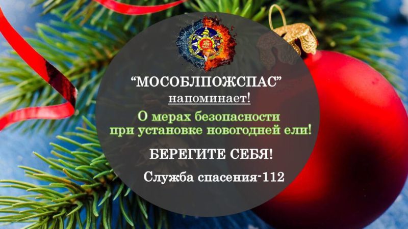 Ружан призывают соблюдать правила безопасности при установке елки