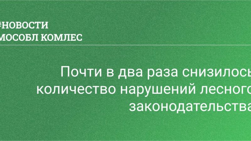 Ружан информируют о снижении количества нарушений лесного законодательства в Подмосковье
