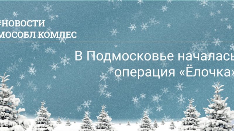 Ружан информируют об операции «Елочка»