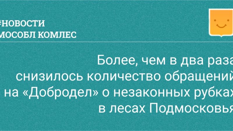 В подмосковных лесах снизилось количество обращений о незаконных рубках