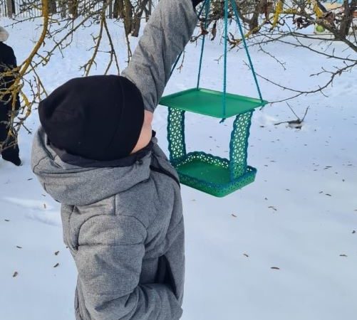 Рузские школьники подкармливают птиц