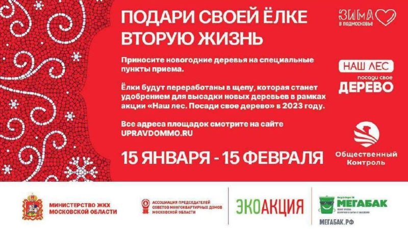 Ружан информируют об акции «Подари своей елке вторую жизнь»